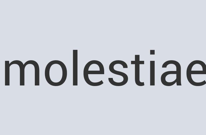 Lightweight Wooden WideVision