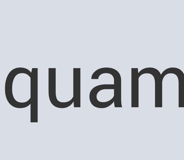 Gorgeous Granite Zestea